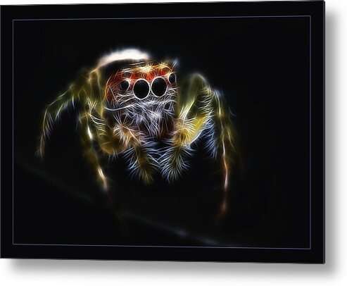 Jumping Spider Metal Print featuring the photograph Bite me 03 by Kevin Chippindall
