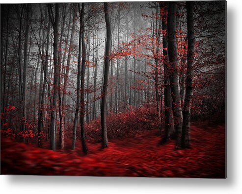 Landscape Metal Print featuring the photograph Bloody River by Samanta