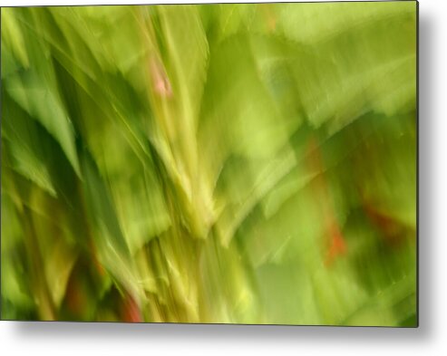 Blurred Motion Metal Print featuring the photograph Blowing in the Breeze by Paul W Faust - Impressions of Light