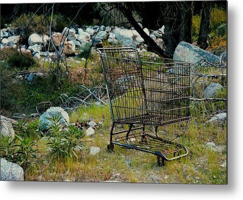 Shopping Cart Metal Print featuring the photograph Boulder Market by Laureen Murtha Menzl