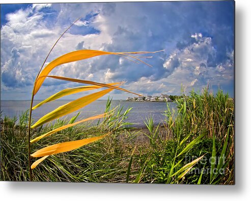 Lbi Metal Print featuring the photograph Breezy Day on Long Beach Island by Mark Miller