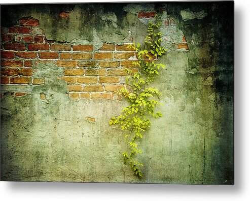 Country Metal Print featuring the photograph Brick wall by Linda Olsen