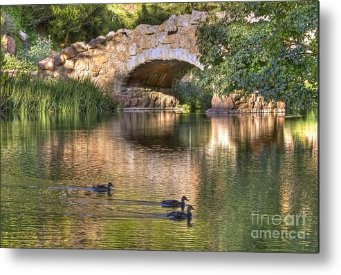 Kate Brown Metal Print featuring the photograph Bridge at Stow Lake by Kate Brown