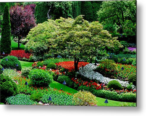 Butchart Gardens Metal Print featuring the photograph Butchart Gardens by Lisa Phillips