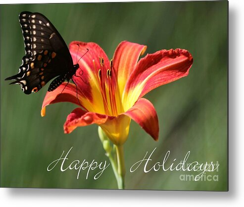 Christmas Metal Print featuring the photograph Butterfly and Lily Holiday Card by Sabrina L Ryan