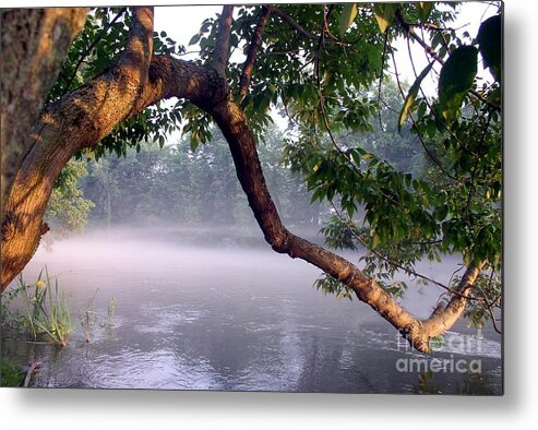 Tree Branch By The Waters Edge Metal Print featuring the photograph By the Water's Edge by Mary Lou Chmura