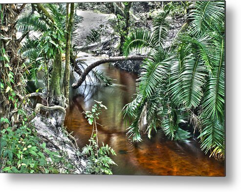 Stream Metal Print featuring the photograph Calm Water by Chauncy Holmes