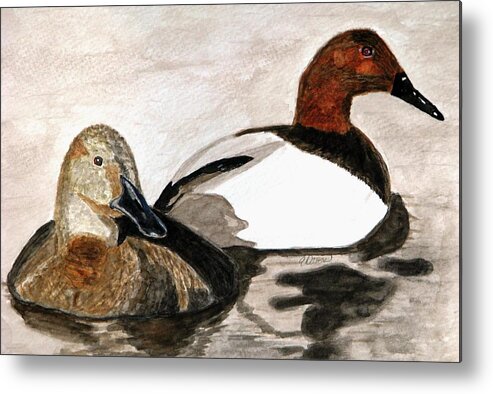 Canvasback Ducks Metal Print featuring the painting Canvasback Couple by Angela Davies