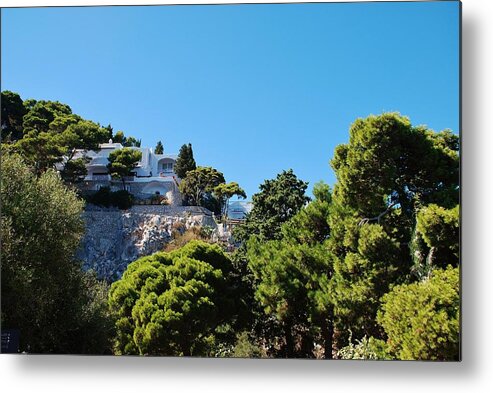 Capri Metal Print featuring the photograph Capri's gardens by Dany Lison