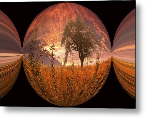 Appalachia Metal Print featuring the photograph Captured Flame by Debra and Dave Vanderlaan