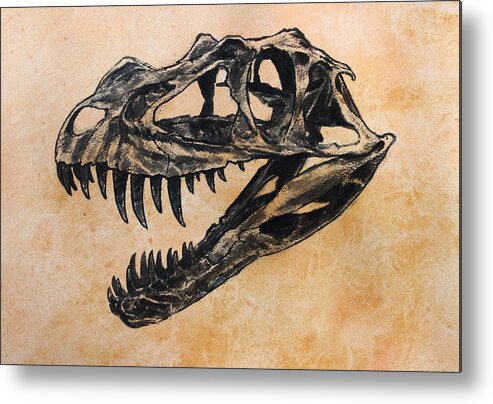 Dinosaur Metal Print featuring the painting Ceratosaurus skull by Harm Plat