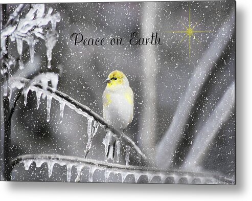 Ice Metal Print featuring the photograph Christmas Peace by Linda Segerson