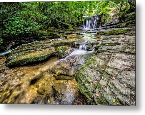 Clywedog Valley Metal Print featuring the photograph Clywedog Creek by Adrian Evans