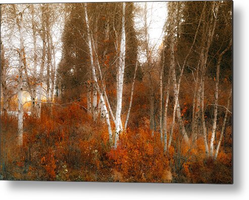 Landscape Metal Print featuring the photograph Colors of Nature by Julie Palencia