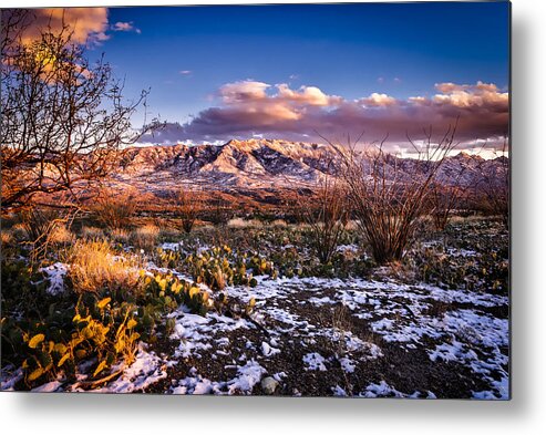 Arizona Metal Print featuring the photograph Colors Of Winter by Mark Myhaver