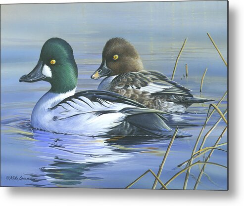 Common Goldeneye Metal Print featuring the painting Common Goldeneye by Mike Brown