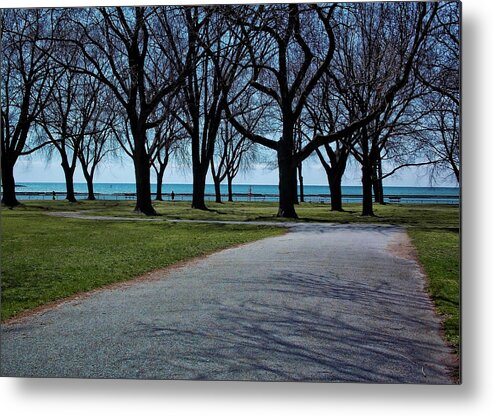 Toronto Metal Print featuring the photograph Coronation Park by Nicky Jameson