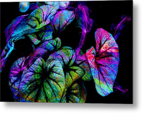 Leaves Metal Print featuring the digital art Crazy Elephant Ears by Lisa Yount