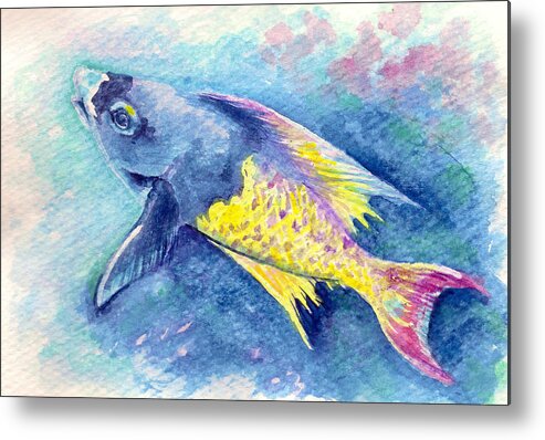 Fish Paintings Metal Print featuring the painting Creole Wrasse by Ashley Kujan