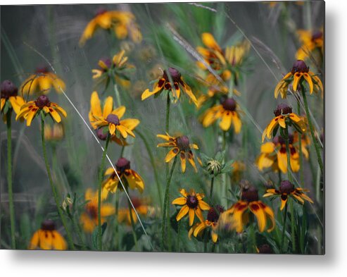 These Texas Wildflowers Seem To Be Dancing To A Melody All Their Own. Metal Print featuring the photograph Dance of Flowers by Susan Moody