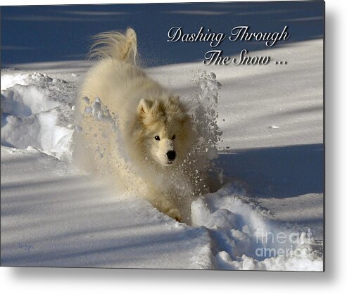 Snow Metal Print featuring the photograph Dashing Through The Snow by Lois Bryan