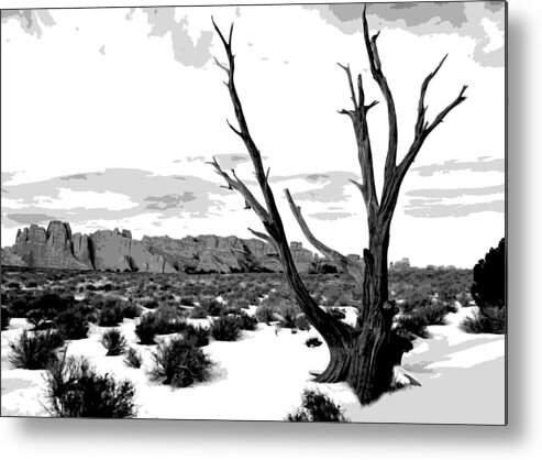 Winter Metal Print featuring the photograph Dead Tree in Winter by Jack McAward