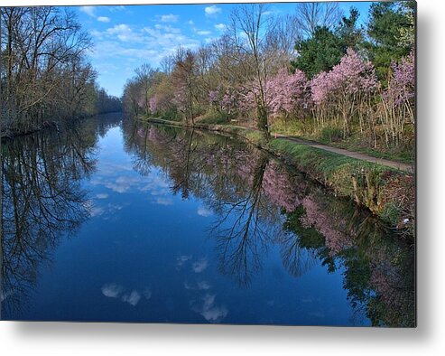 Spring Metal Print featuring the photograph Delaware and Raritan Canal Turning Basim by Steven Richman