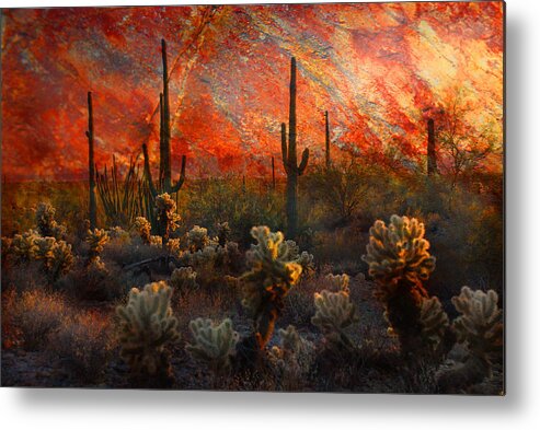 Cacti Metal Print featuring the photograph Desert Burn by Barbara Manis