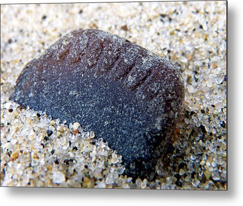 Sea Glass Metal Print featuring the photograph Detailed by Janice Drew