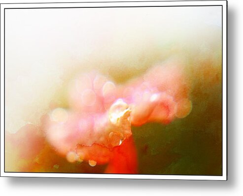 Small Metal Print featuring the photograph Dew Drops and Bokeh by Leapdaybride