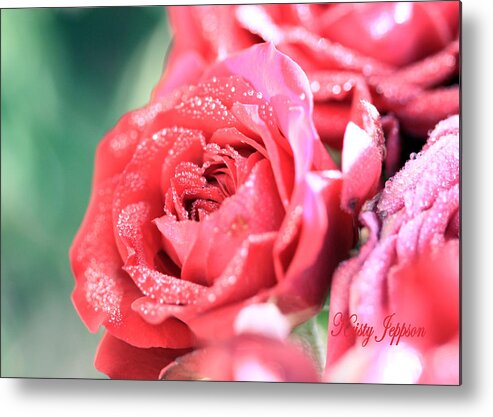 Red Metal Print featuring the photograph Dew on Red by Kristy Jeppson