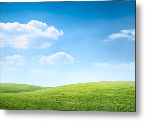 Scenics Metal Print featuring the photograph Digital composition of green meadow and blue sky by Spooh