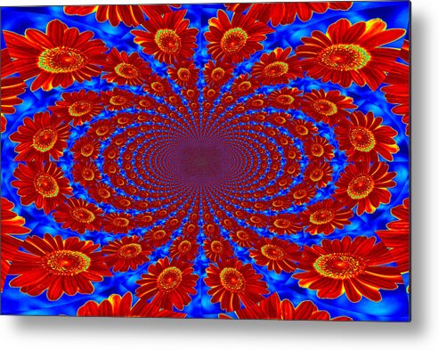 Daisy Metal Print featuring the photograph Dizzying Daisies by Kelly Nowak