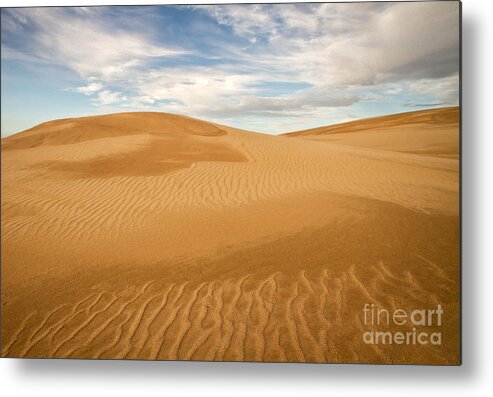 San Luis Obispo County Metal Print featuring the photograph Dunescape by Alice Cahill