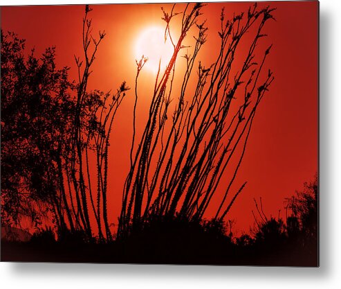 Sunset Metal Print featuring the photograph Dust by Michael Newberry