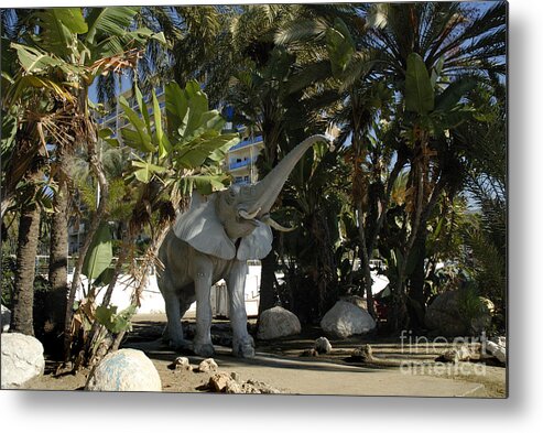 Sunset Metal Print featuring the photograph Elephant show in Marbella by Brenda Kean
