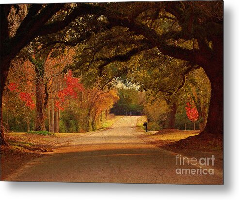 Fall Metal Print featuring the photograph Fall Along A Country Road by Kathy Baccari
