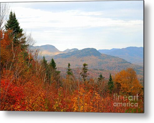 Autumn Color Metal Print featuring the photograph Fall In The North Country by Eunice Miller