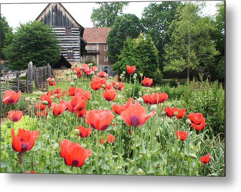 Close Metal Print featuring the photograph Field of Poppies by Bill TALICH