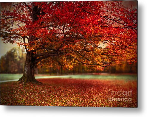 Autumn Metal Print featuring the photograph Finest Fall by Hannes Cmarits