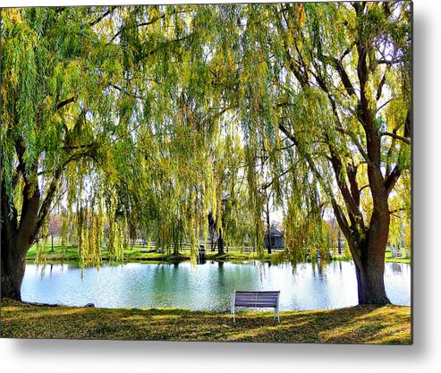 Finger Lakes Metal Print featuring the photograph Finger Lakes Weeping Willows by Mitchell R Grosky