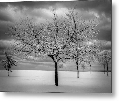 Landscape Metal Print featuring the photograph First Snow by Randy Hall