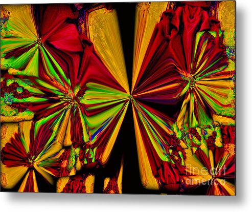 Digital Art Abstract Flirting All Prints Metal Print featuring the digital art Flirting by Gayle Price Thomas