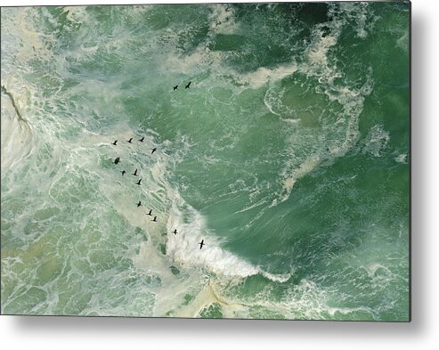 Animal Themes Metal Print featuring the photograph Flock Of Cormorants Flying Over Heavy by Sami Sarkis