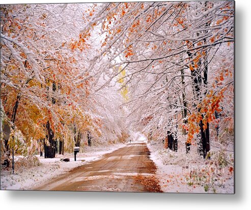 Snow Metal Print featuring the photograph Snow in Autumn 3 by Terri Gostola