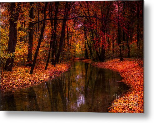 Autumn Metal Print featuring the photograph Flowing Through The Colors Of Fall by Hannes Cmarits