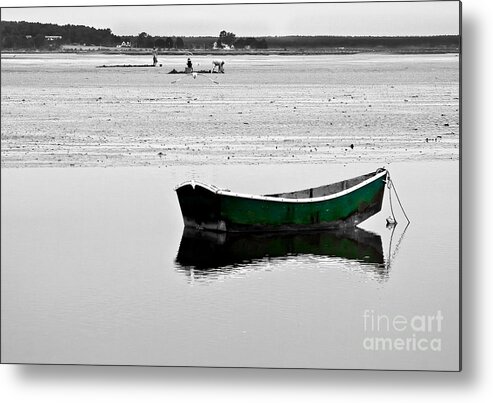 Clams Metal Print featuring the photograph Fly Like the Wind by Brenda Giasson