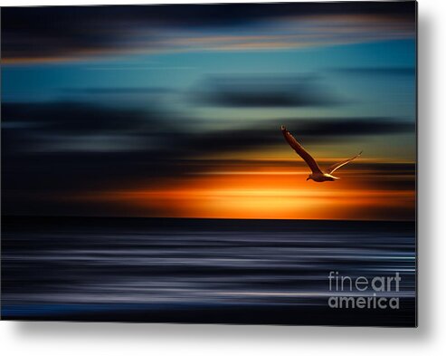 Sylt Metal Print featuring the photograph Flying Into The Sunset by Hannes Cmarits