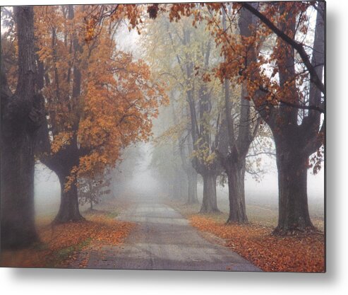 Kentucky Metal Print featuring the photograph Foggy Driveway by Wendell Thompson
