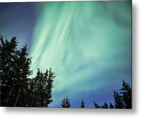 Alaska Metal Print featuring the photograph Forest with Aurora by Michele Cornelius